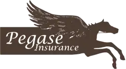 Pegase Insurance est le partenaire Ogalo pour l'assurance valeur cheval pendant le transport Partenariat Ogalo Pegase Insurance assurance valeur cheval transport